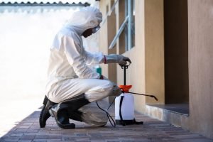 exterminators modesto ca 36-2-scaled-1