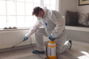 pest-exterminators-in-modesto-home-spraying-for-pest-treatments